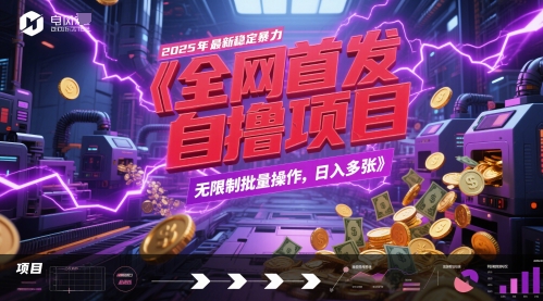 全网首发，2025年最新稳定暴力全自动自撸项目，无限制批量操作，日入多张 - 冒泡网赚