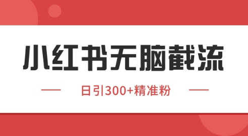 小红书截流同行客源，独家野路子获客玩法 日引200+暴力获客 - 冒泡网赚