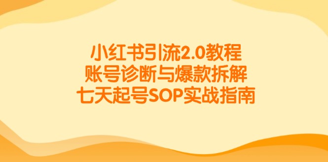 小红书引流2.0教程，账号诊断与爆款拆解，七天起号SOP实战指南 - 中创网