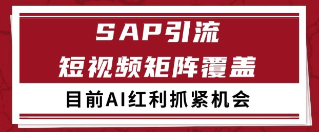 小红书某音sap赛道引流获客 自热矩阵日引200+ - 冒泡网赚
