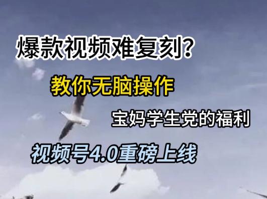 视频号4.0重磅上线，爆款视频难复刻？教你无脑操作宝妈学生党的福利 - 冒泡网赚