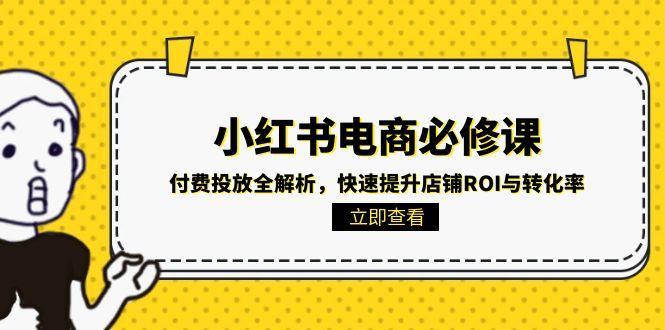 小红书电商必修课：付费投放全解析，快速提升店铺ROI与转化率 - 中创网