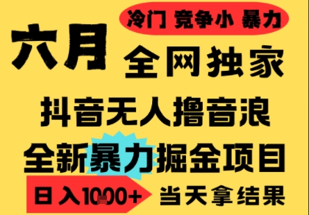 25年6月高爆抖音无人直播最新撸音浪掘金项目，小白可做，无脑日入1k+，门槛低可批量矩阵 - 冒泡网赚
