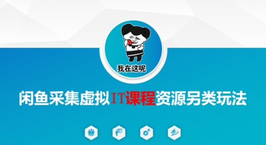 闲鱼采集虚拟IT课程资源另类玩法，干货满满 - 冒泡网赚