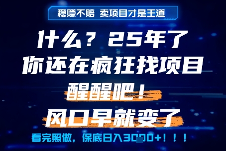 什么？25年你还在疯狂找项目做，醒醒吧，看完这些你全都懂了！ - 冒泡网赚