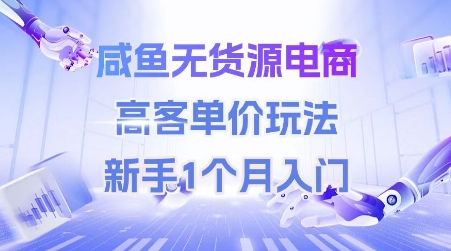 咸鱼无货源电商，高客单价玩法，新手1个月入门 - 冒泡网赚
