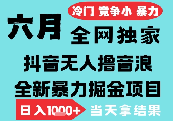 2025年6月高爆抖音无人直播最新撸音浪掘金项目，无脑日入1k+，低门槛小白可做，可矩阵放大 - 冒泡网赚