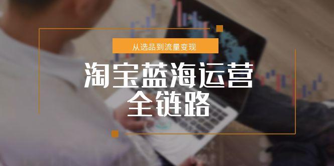 淘宝蓝海运营全链路，从选品到流量变现，小类目突围完整方案 - 中创网
