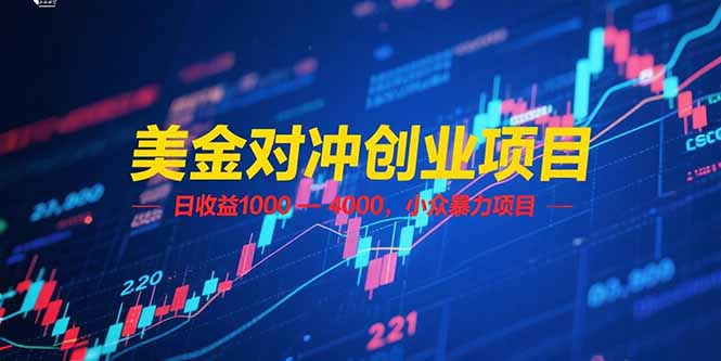 美金对冲创业项目，日收益 1000 – 4000，小众暴力项目 - 中创网