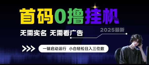 首码0撸挂G项目，无需实名无需看广告 一键启动运行，小白轻松日入三位数 - 冒泡网赚