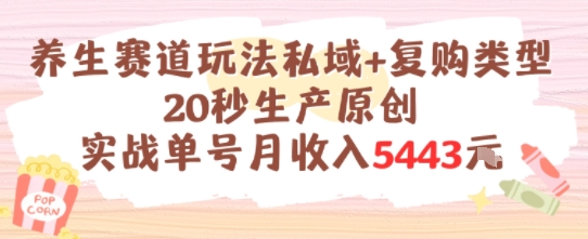养生赛道玩法私域+复购类型，20秒生产原创实战单号月收入5k+ - 冒泡网赚