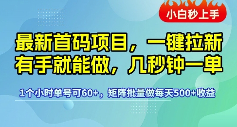 最新首码项目，一键拉新有手就能做，几秒钟一单，1个小时单号可60+，矩阵批量做每天5张 - 冒泡网赚