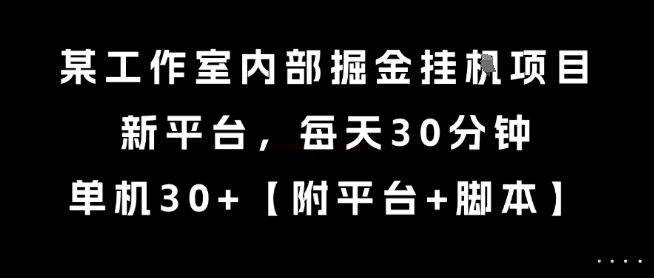 某工作室内部掘金挂G项目，新平台，每天30分钟，单机30+ - 冒泡网赚