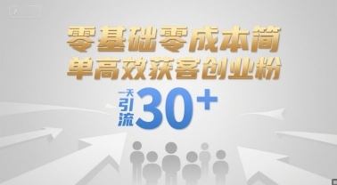 零基础零成本简单高效获客创业粉，一天引流30+ - 冒泡网赚