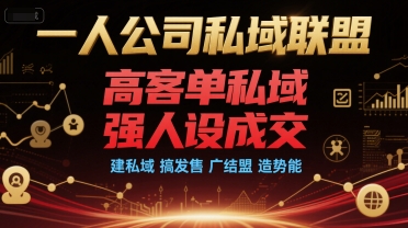 一人公司私域联盟，高客单私域，强人设成交，建私域 搞发售 广结盟 造势能 - 冒泡网赚