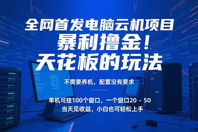 电脑云机项目 暴力撸金玩法，不需要养机 配置没有要求 单机100个窗口一... - 中创网