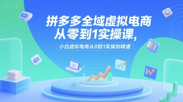 拼多多全域虚拟电商从零到1实操课，小白虚拟电商从0到1实操到精通 - 冒泡网赚