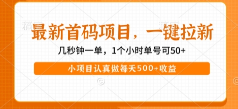 最新首码项目，操作最简单，收益高，一键拉新，1个小时单号可50+，小项目认真做每天5张+收益 - 冒泡网赚