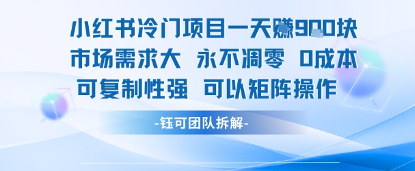 小红书冷门项目一天收益9张，市场需求大，0成本，可复制性强可以矩阵操作 - 冒泡网赚