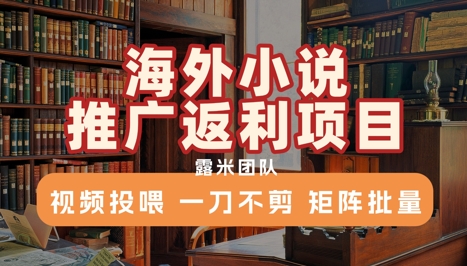 海外小说推广返利项目，视频投喂， 一刀不剪，矩阵批量 - 冒泡网赚