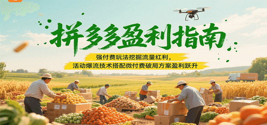 拼多多盈利指南：强付费玩法挖掘流量红利，活动爆流技术搭配微付费方案实现盈利跃升 - 福缘创业网