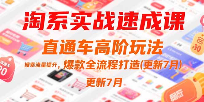 淘系实战速成课，直通车高阶玩法，搜索流量提升，爆款全流程打造(更新7月) - 中创网