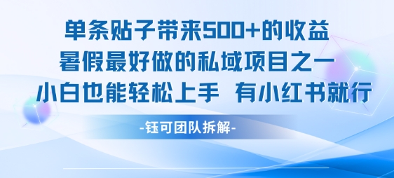 单条贴子带来5张的收益，暑假最好做的私域项目之一，小白也能轻松上手，有小红书就行 - 冒泡网赚