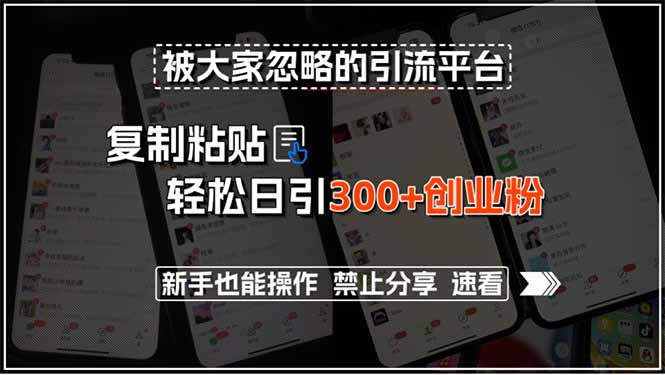 被大家忽略的引流平台，复制粘贴轻松日引300+创业粉，新手也能操作，禁... - 中创网