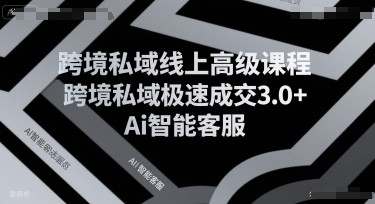 跨境私域线上高级课程，跨境私域极速成交3.0+Ai智能客服 - 冒泡网赚