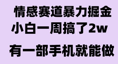 情感暴力掘金项目，新人操作一周挣了2W，长期稳定小白可做 - 冒泡网赚