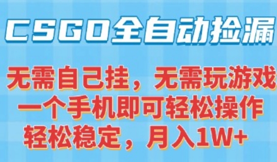 CSGO自动捡漏项目，最新独家玩法，一个手机可操作，新手小白轻松月入1W+，操作简单易上手 - 冒泡网赚