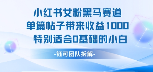 小红书女粉黑马赛道单篇帖子带来收益1k+，特别适合0基础的小白 - 冒泡网赚