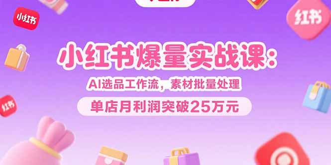 小红书爆量实战课：AI选品工作流，素材批量处理，单店月利润突破25万元 - 中创网
