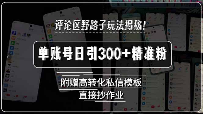 评论区野路子玩法揭秘！单账号日引300+精准粉，附赠高转化私信模板，直... - 中创网