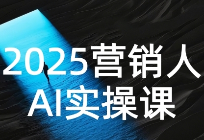 2025营销人Al实操课，AI营销抢跑实战，从Prompt到方案，效率碾压同行 - 冒泡网赚