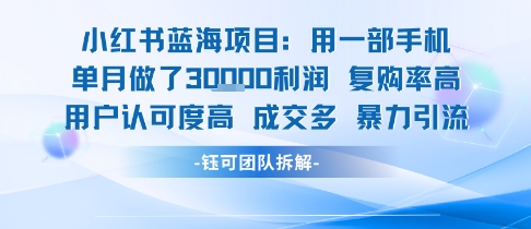 小红书蓝海项目，一部手机单月做了3W利润，小白也能月入过1W用户认可度高成交多 - 冒泡网赚