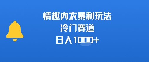 情趣内衣暴利玩法，冷门赛道，日入1k+ - 冒泡网赚