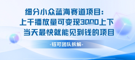 小众蓝海赛道项目：当天变现1k+适合新手操作 +适合长期玩 - 冒泡网赚