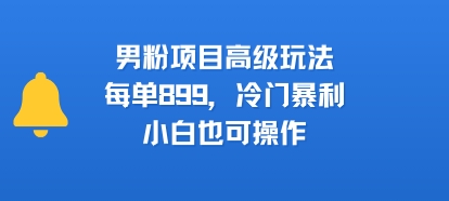 男粉项目高级玩法，每单899，冷门暴利，小白也可操作 - 冒泡网赚