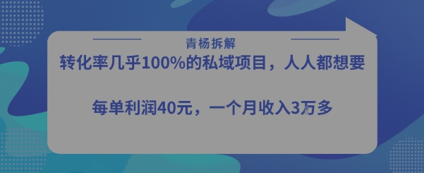 转化率最高的私域项目，每单利润40-50米，月入过1w - 冒泡网赚