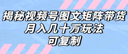 解密视频号图文矩阵带货，月入几个W的打法，可复制 - 冒泡网赚