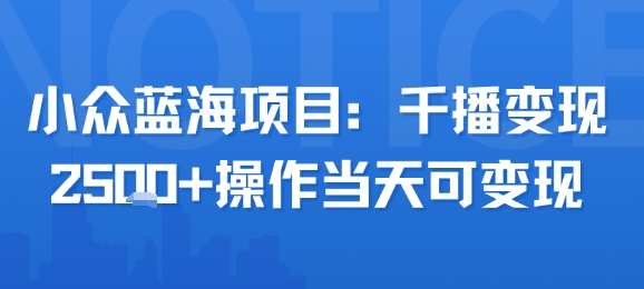 小众蓝海项目，千播变现2.5k+操作当天可变现 - 冒泡网赚