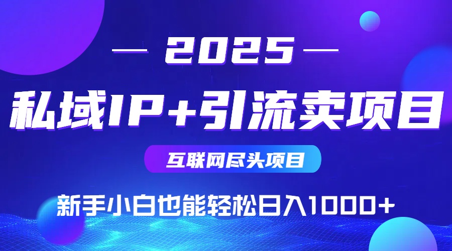 2025网创尽头项目，私域IP+引流，新手小白也能在家日入1000+ - 中创网