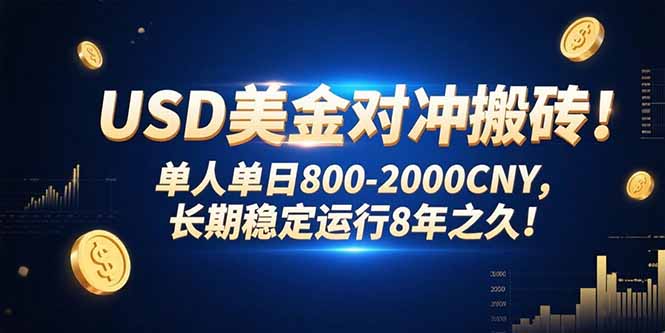 USD美金对冲搬砖!单人单日800-2000CNY，长期稳定运行8年之久! - 中创网