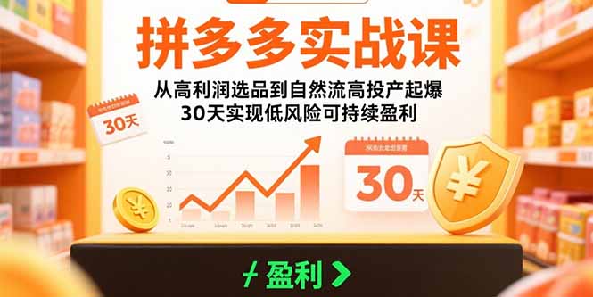 拼多多实战课：从高利润选品到自然流高投产起爆 30天实现低风险可持续盈利 - 中创网