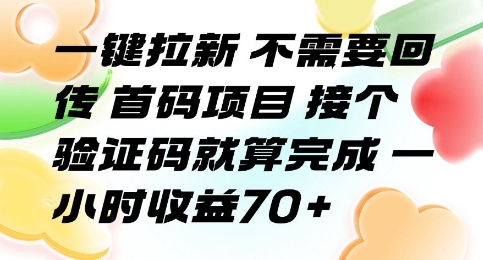 一键拉新 不需要回传 首码项目 接个验证码就算完成 一小时收益70+ - 冒泡网赚
