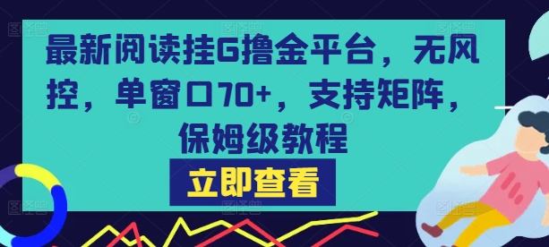 最新阅读挂G撸金平台，无风控，单窗口70+，支持矩阵，保姆级教程 - 冒泡网赚