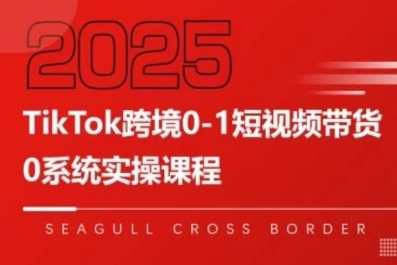 TikTok跨境0-1短视频带货，系统拆解TikTok跨境带货全链路，实现跨境可持续盈利 - 冒泡网赚