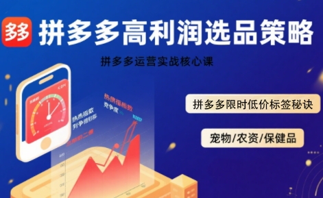 拼多多选品暴利技术实战课，拼多多高利润选品策略，拼多多限时低价标签秘诀 - 冒泡网赚