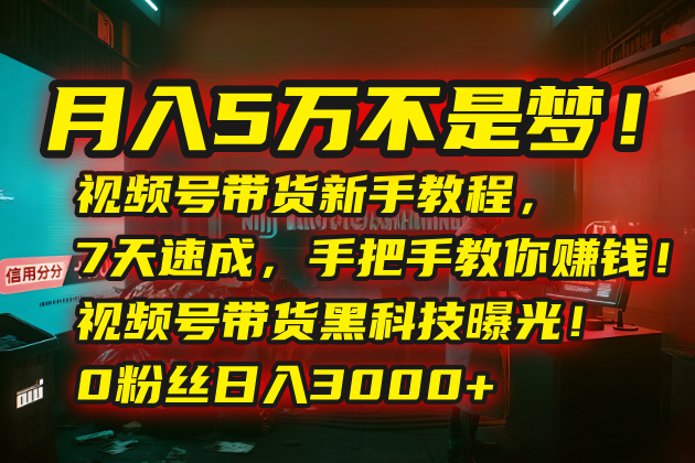 月入5万不是梦！视频号带货新手教程，7天速成，手把手教你赚钱！视频号... - 中创网